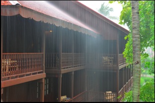 Rainy Day